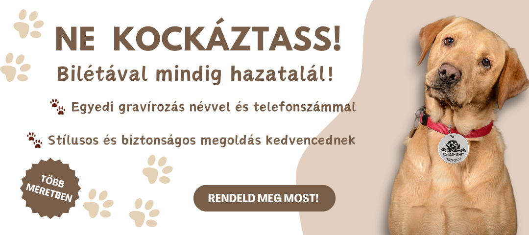 Gravírozott kutyabiléta