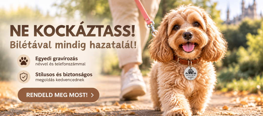 Gravírozott kutyabiléta