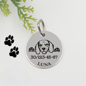 Kutyabiléta saját kutyusod nevével - beagle