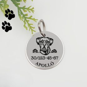 Kutyabiléta saját kutyusod nevével - boxer