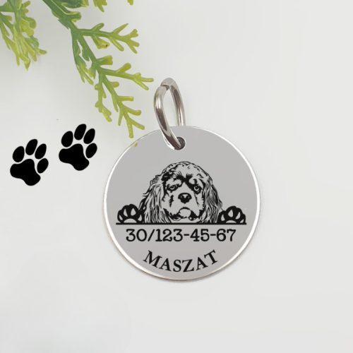 Kutyabiléta saját kutyusod nevével - cocker spaniel 1.