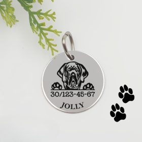 Kutyabiléta saját kutyusod nevével - dán dog