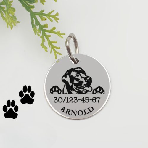 Kutyabiléta saját kutyusod nevével - labrador retriever