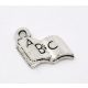 Könyv charm 01.